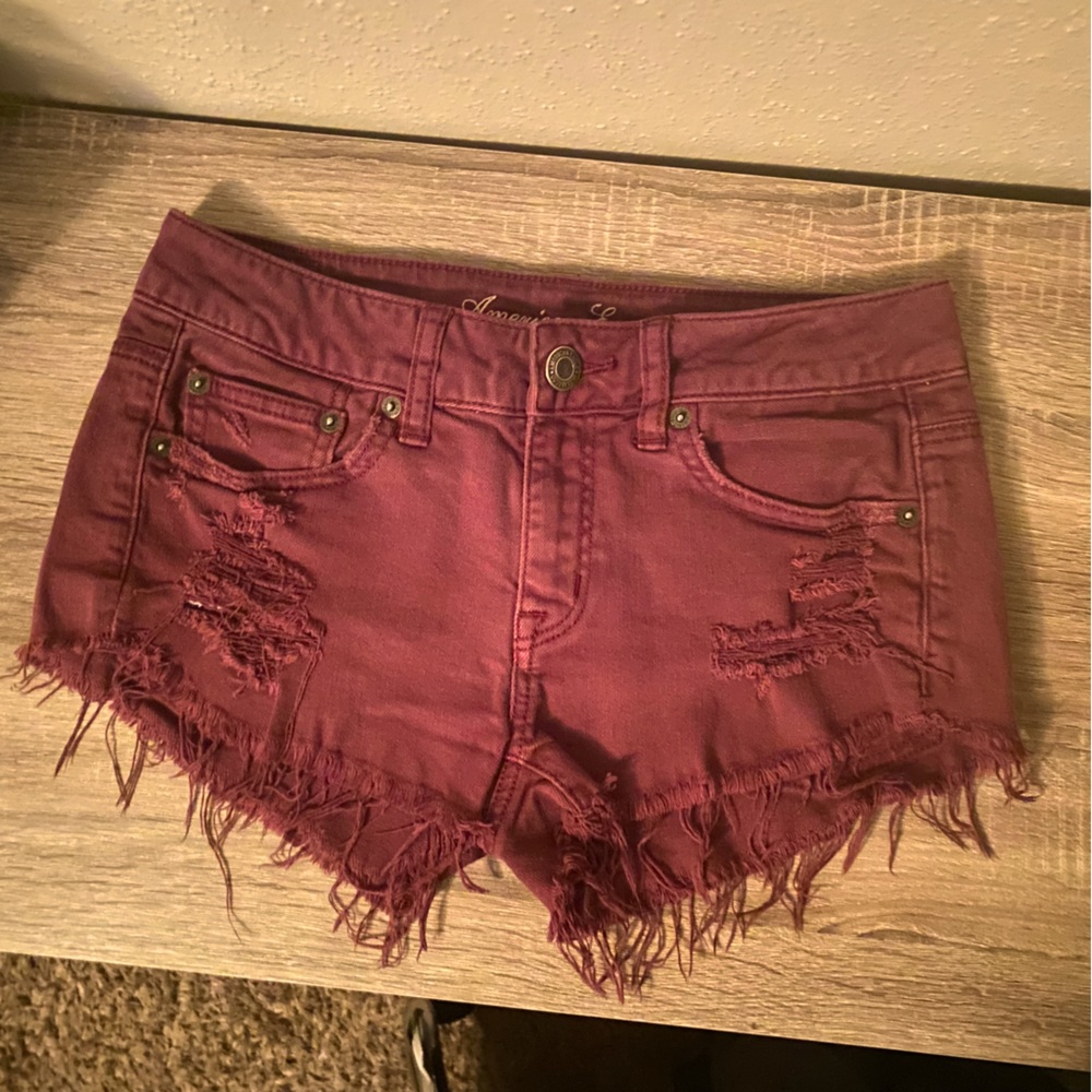American Eagle Festival Shorts 2